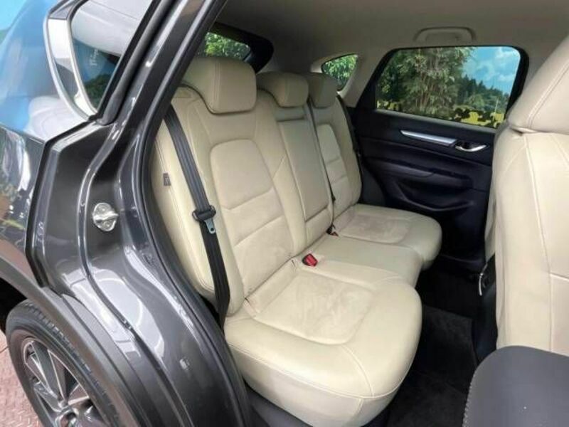 CX-5-8