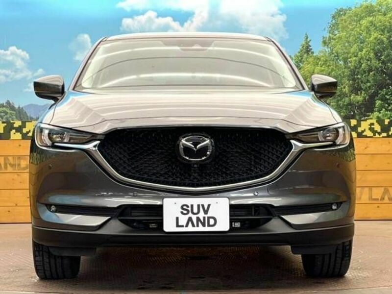 CX-5-13