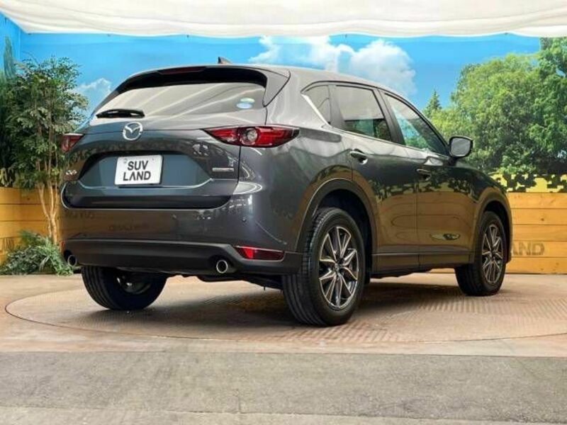 CX-5-16