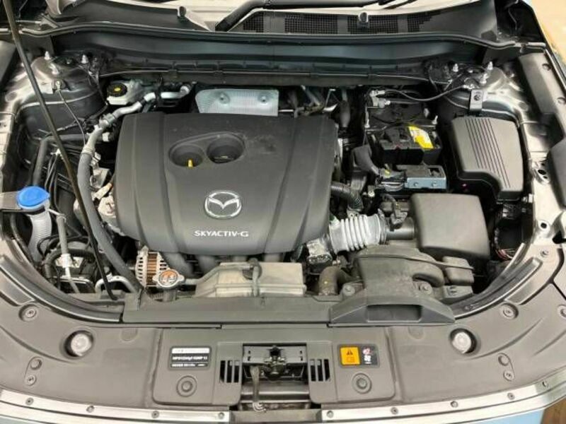 CX-5-17