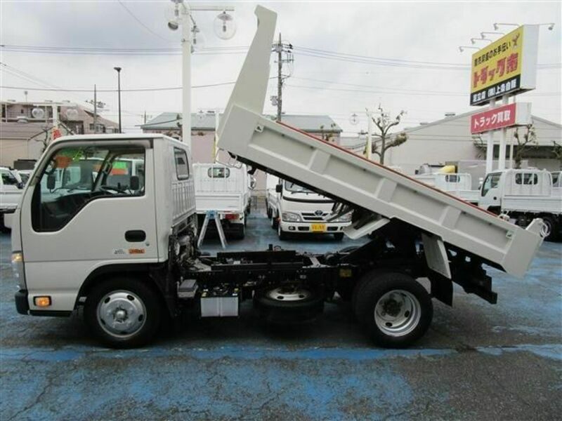 ELF-3