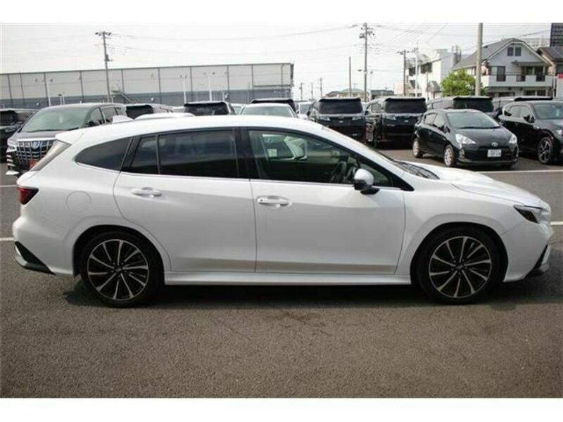 LEVORG
