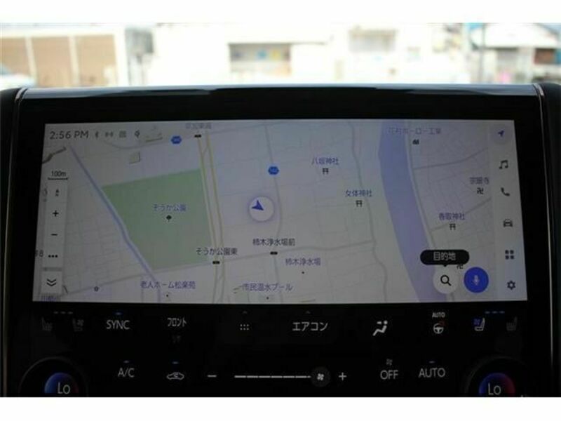 ALPHARD-1