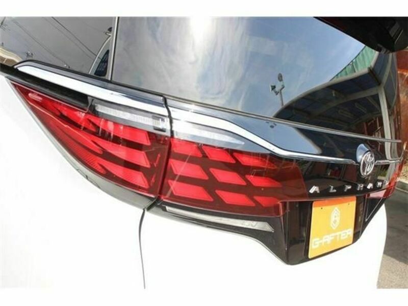 ALPHARD-12