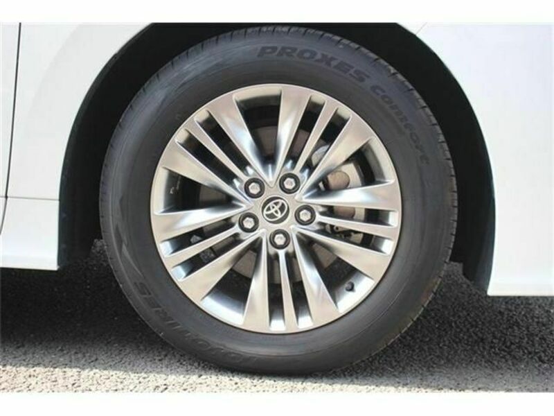 ALPHARD-13