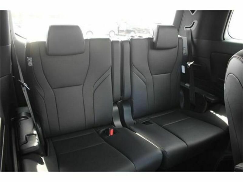 ALPHARD-15