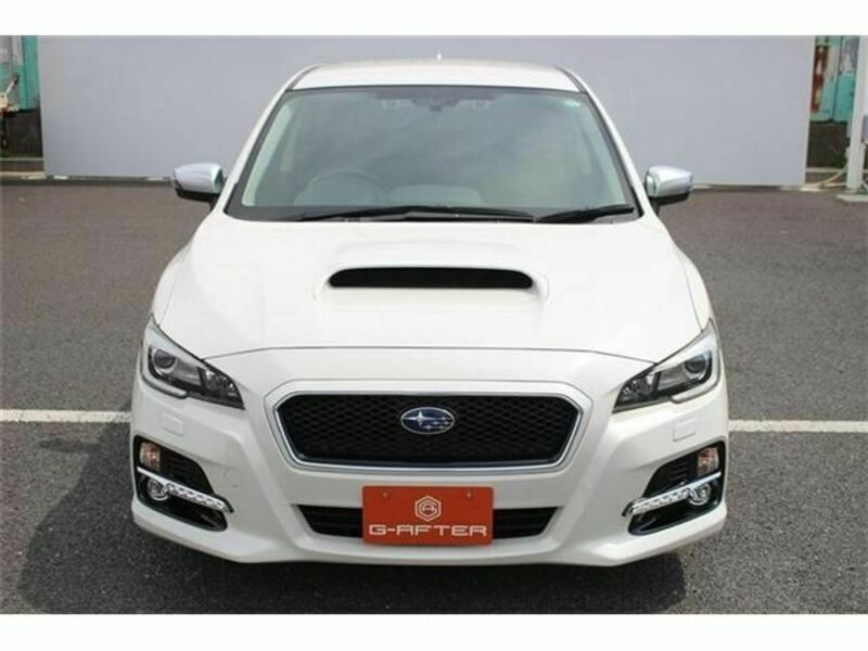 LEVORG-6
