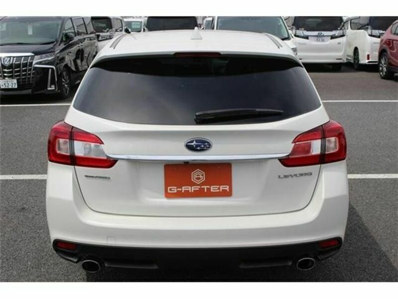LEVORG-8