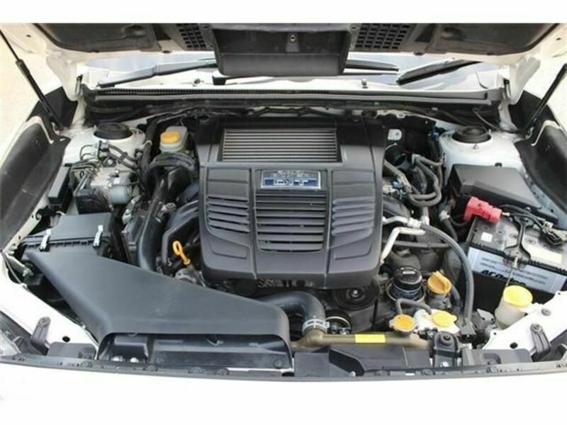LEVORG-19