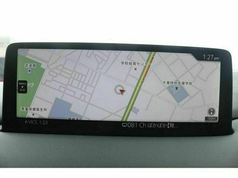 CX-8-1