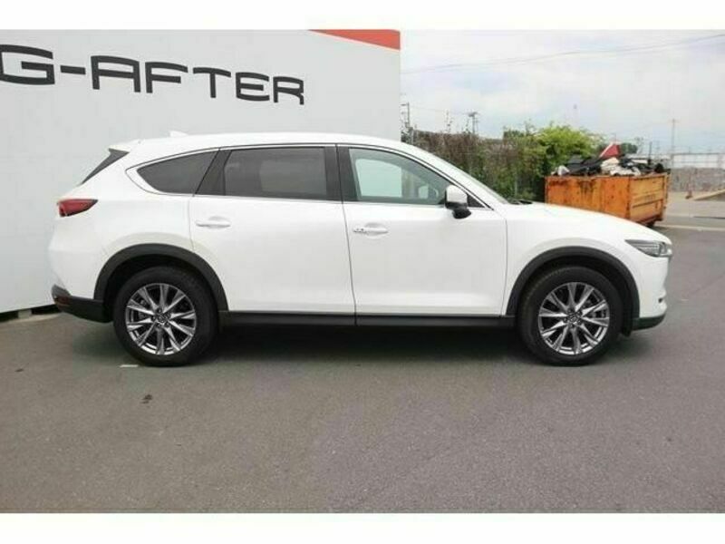 CX-8-7