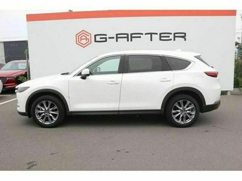 CX-8-9