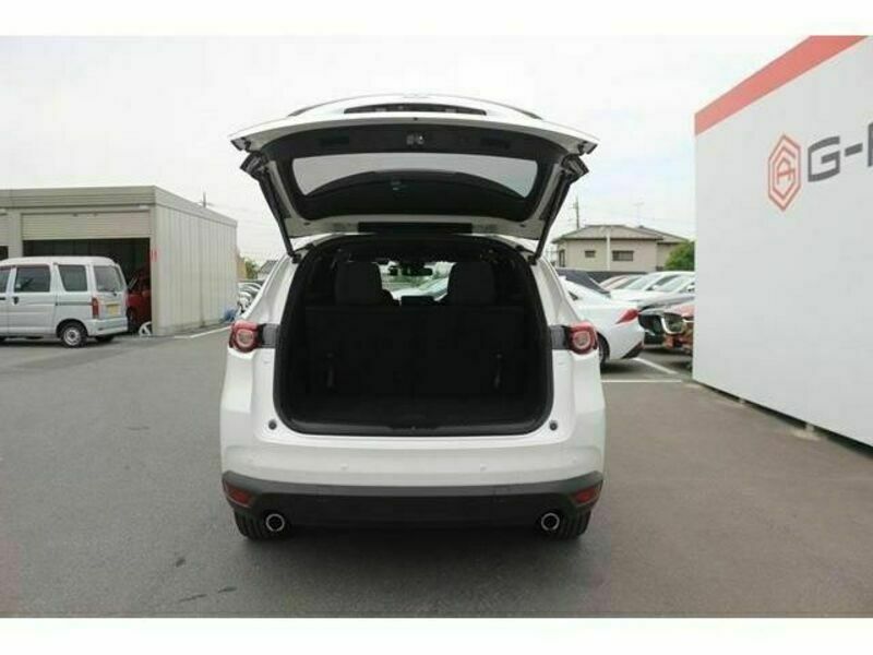 CX-8-17