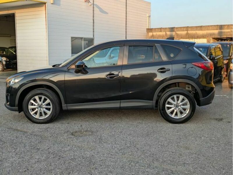 CX-5-19