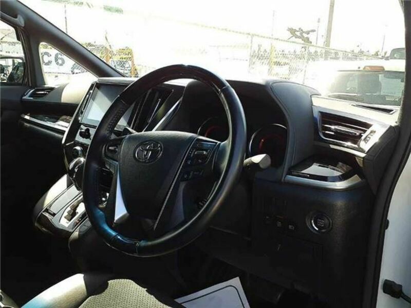ALPHARD-6