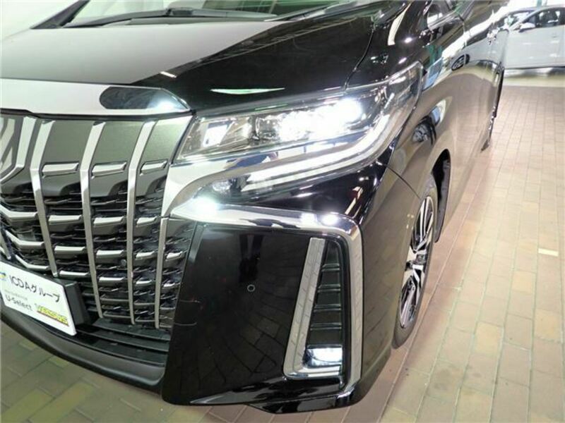 ALPHARD-6