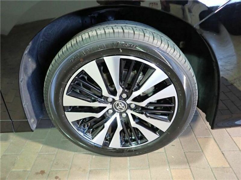 ALPHARD-7