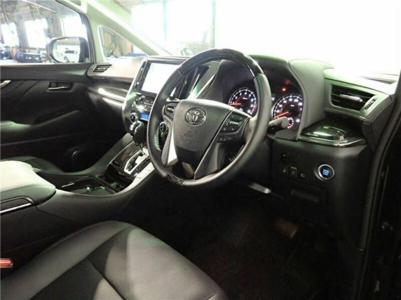 ALPHARD-10