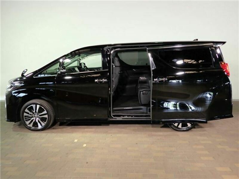 ALPHARD-31