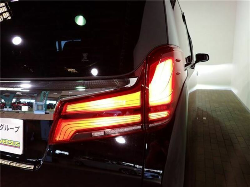 ALPHARD-33