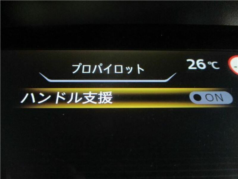SERENA-37