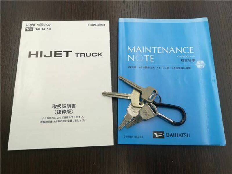 HIJET TRUCK