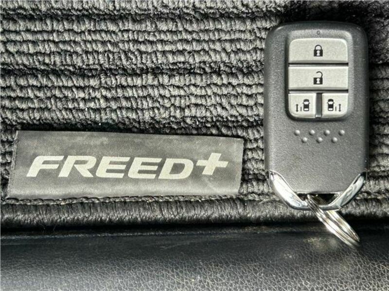 FREED+