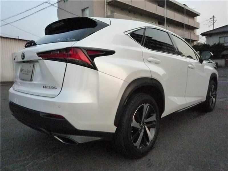 NX