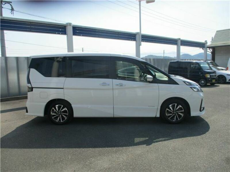 SERENA-44