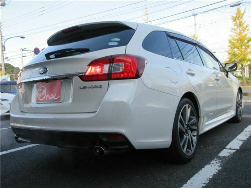 LEVORG