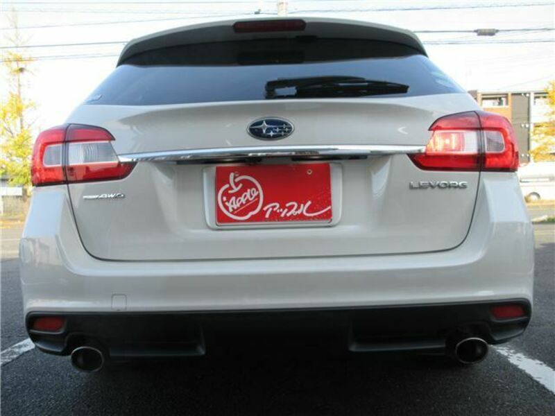 LEVORG