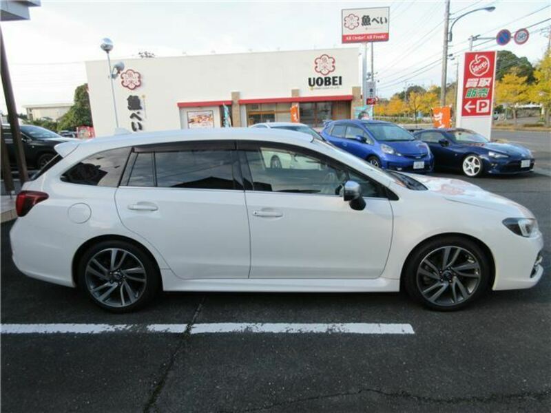 LEVORG