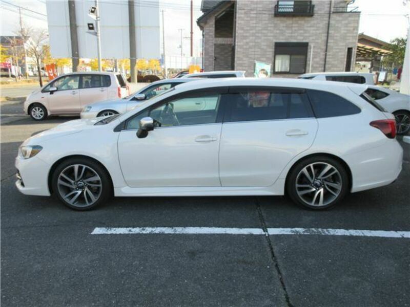 LEVORG