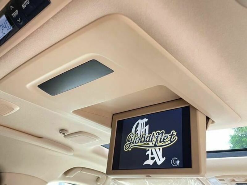 ALPHARD-8