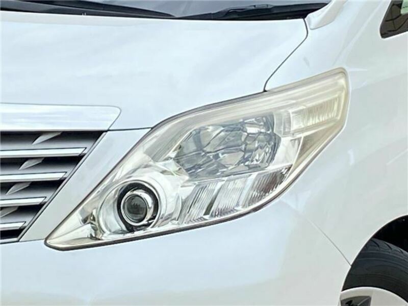ALPHARD-26