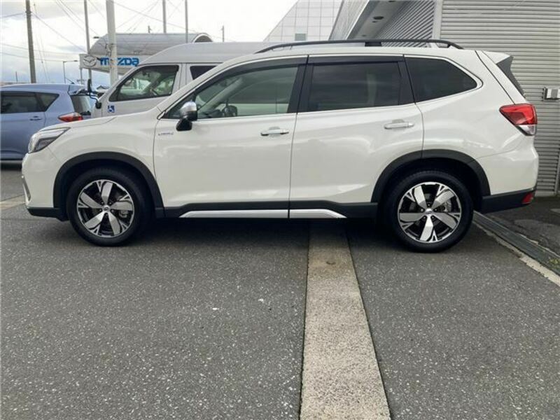 FORESTER
