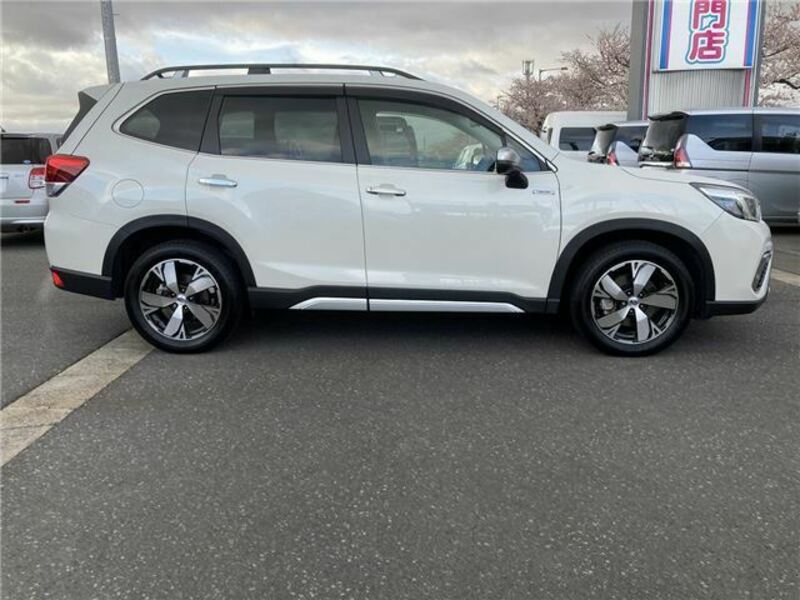 FORESTER