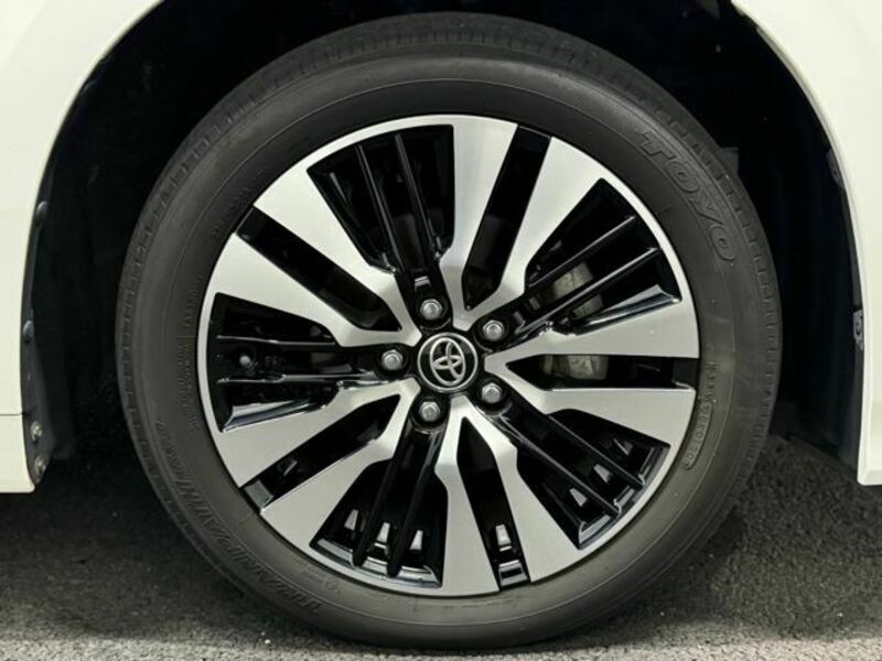 ALPHARD-6