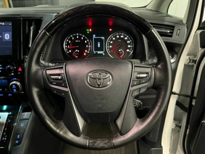ALPHARD-17