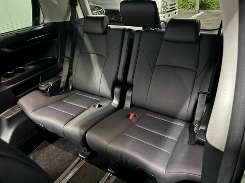 ALPHARD-41