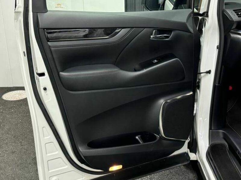 ALPHARD-42