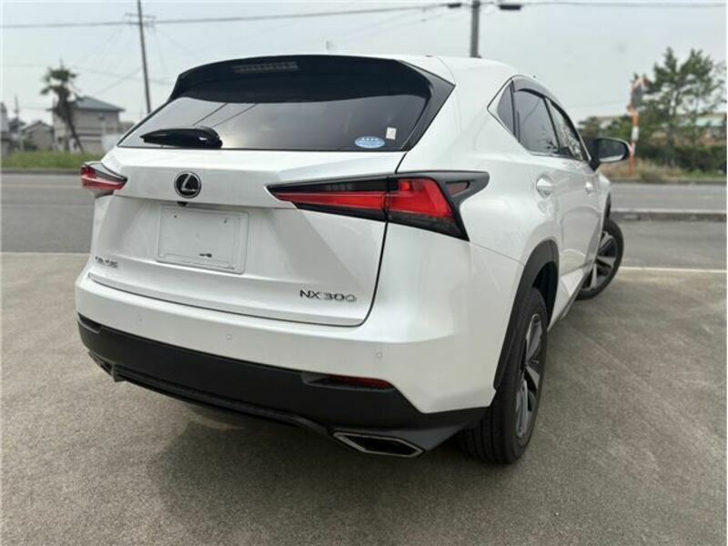 NX