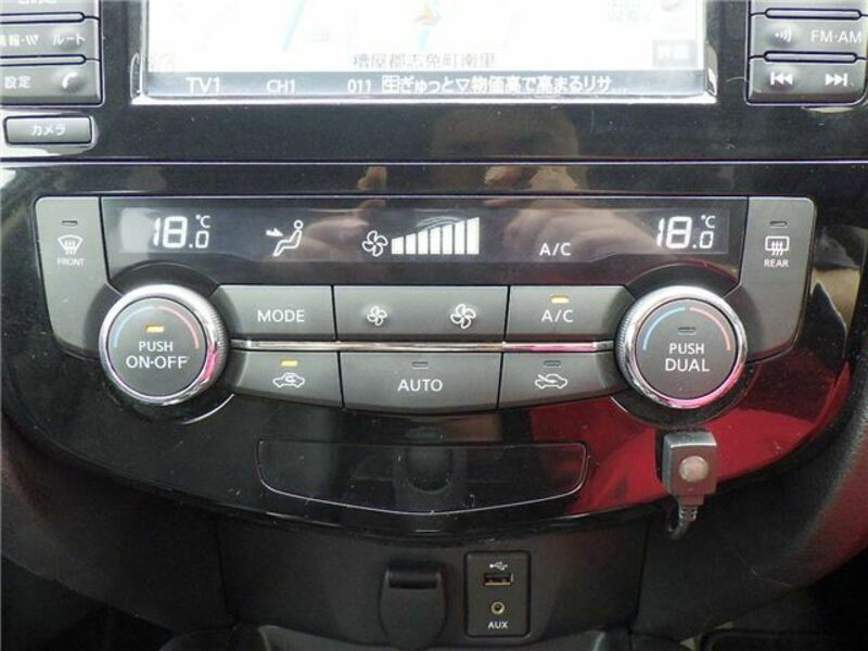 X-TRAIL-10