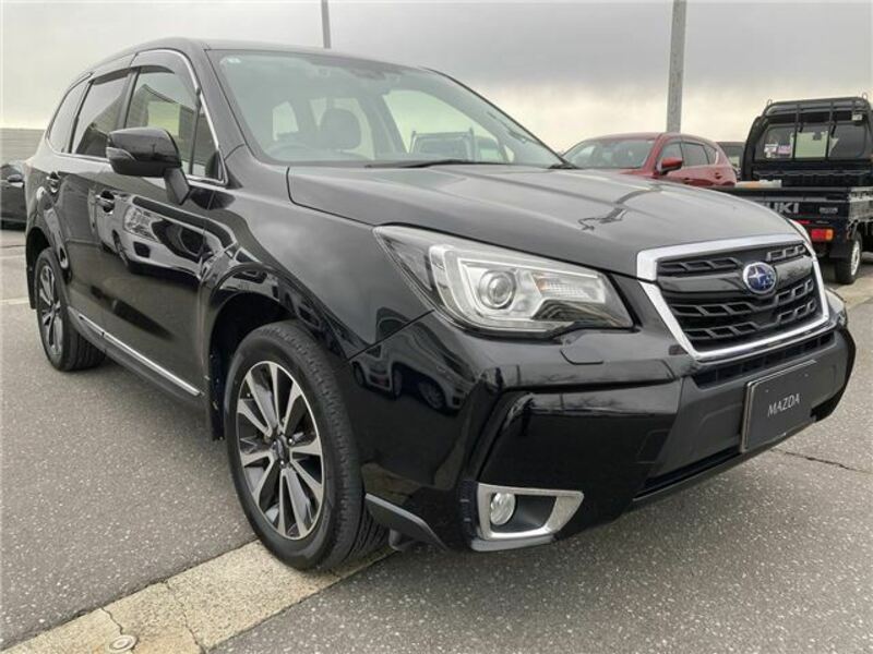 FORESTER