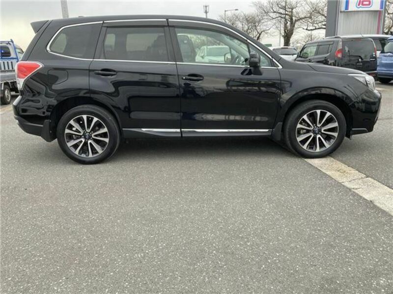 FORESTER