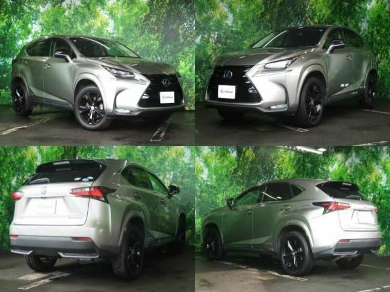 NX