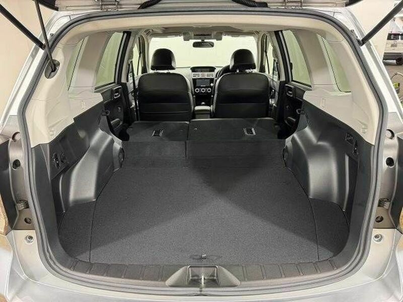 FORESTER-12