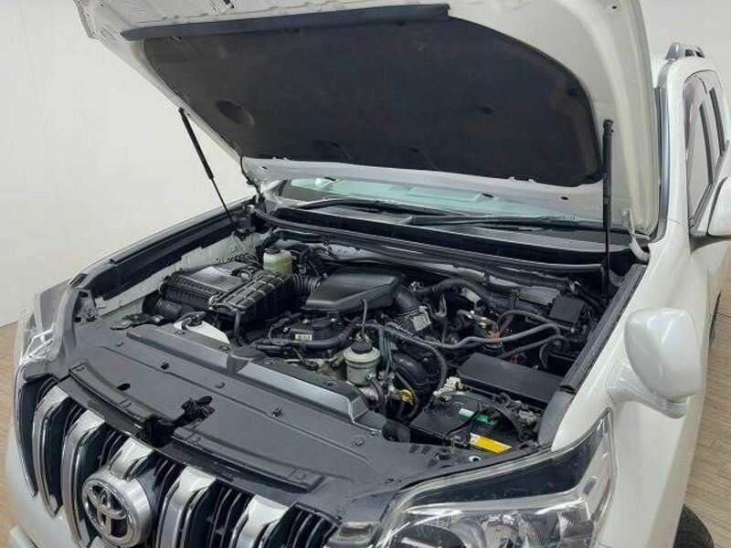LAND CRUISER PRADO-17
