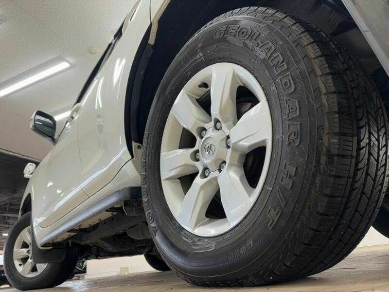 LAND CRUISER PRADO-18
