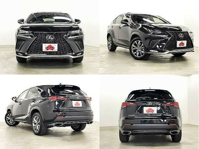 NX